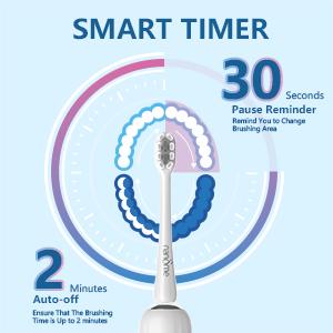 Electric Toothbrush for Adults, Sonic Toothbrush with 3 Intensity Levels & 5 Modes, One Charge for 360 Days, Rechargeable Electric Toothbrush with 12 Toothbrush Heads & 41,000 VPM Deep Clean Daily Oral