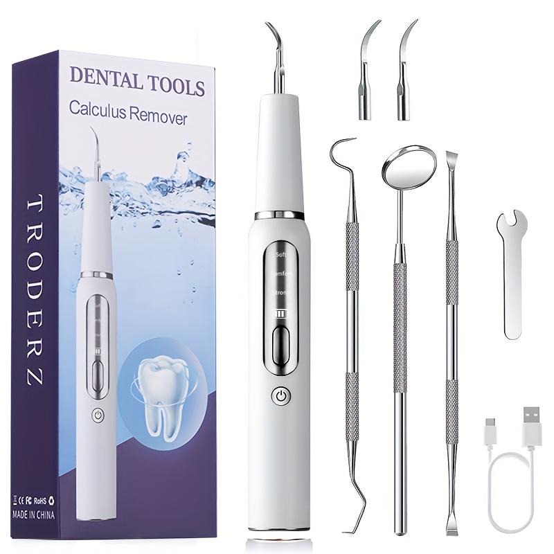 Electric Oral Cleaner Kit, Dental Cleaner, Cleaning Flosser With Replaceable Toothbrush Heads, Teeth Brush Kit At Home And Travel