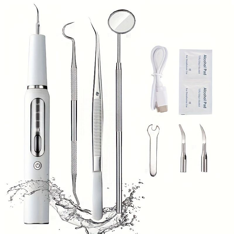 Electric Oral Cleaner Kit, Dental Cleaner, Cleaning Flosser With Replaceable Toothbrush Heads, Teeth Brush Kit At Home And Travel