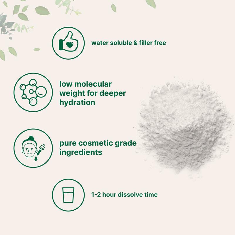 Micro Ingredients Hyaluronic Acid Powder 100g, DIY Facial Serum, Skin Hydration Care Formula Skincare Daily