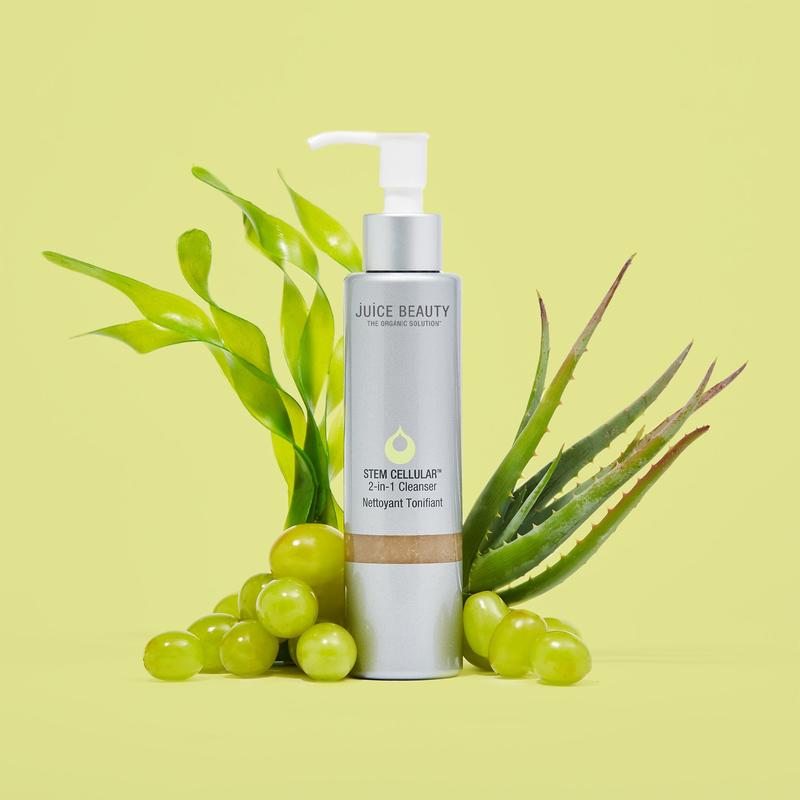 STEM CELLULAR 2-in-1 Cleanser