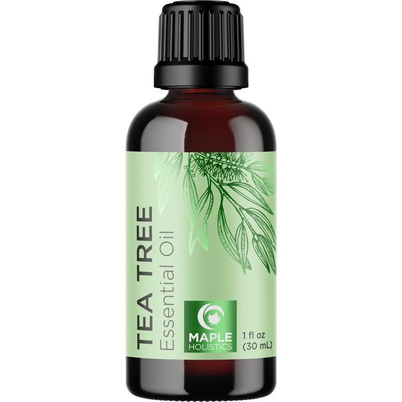 Maple Holistics Tea Tree Essential Oil for Hair, Skin, Nails and More Haircare Hydrating Moisturizer