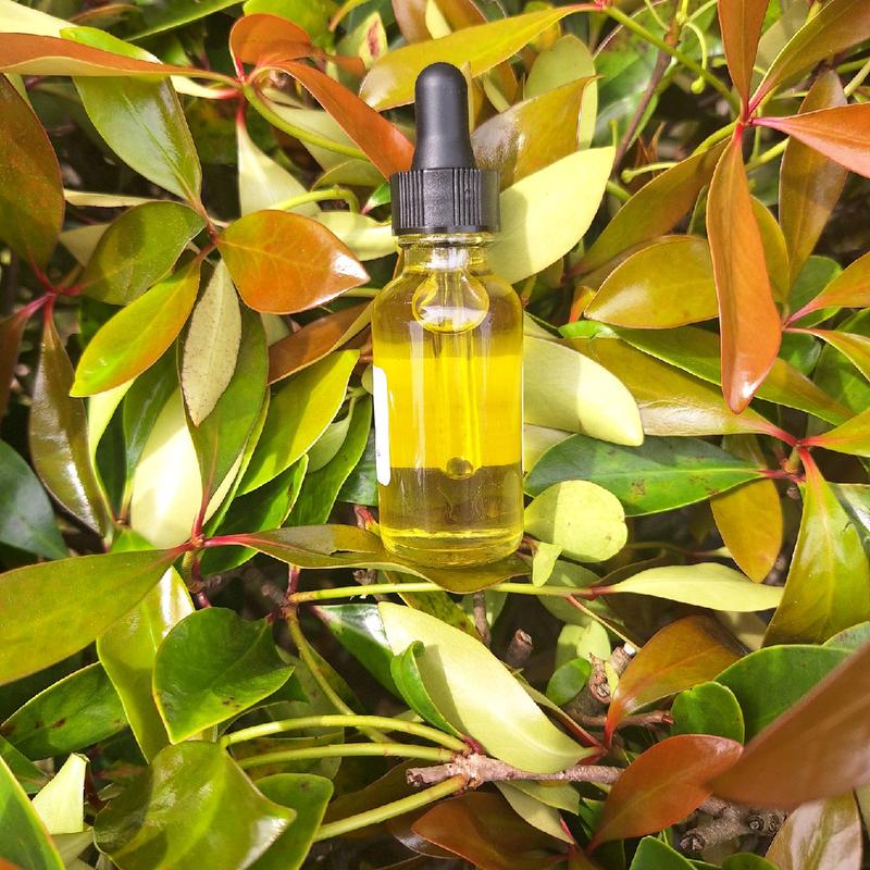 Pain body Oil